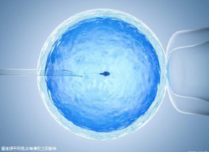 苏雨桐 副主任医师